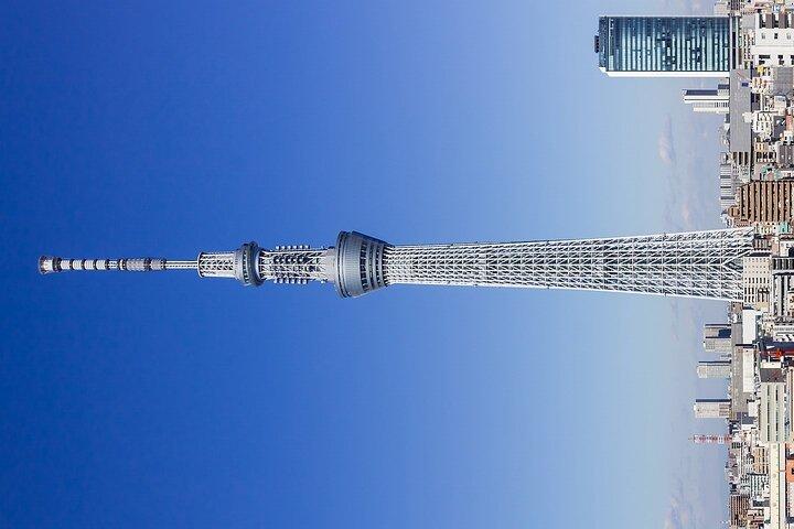 Tokyo City Private Customizable Tour with Highlights