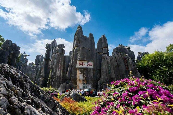 Private Tour of Stone Forest Geological Park in Kunming