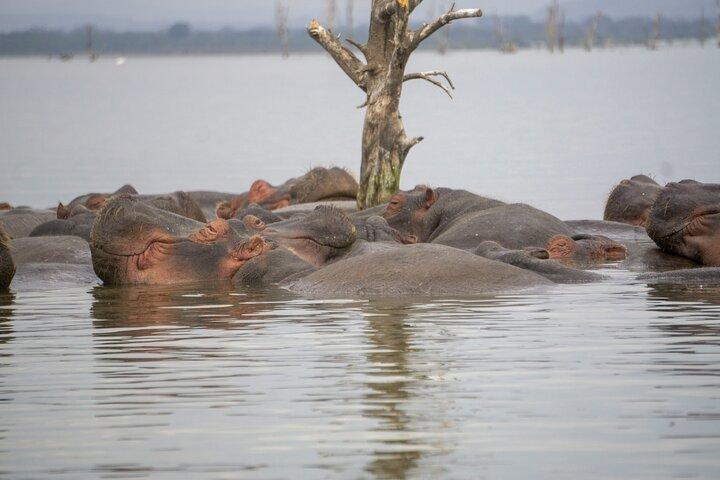 Hell’s Gate, Naivasha & Crescent Island Day Safari