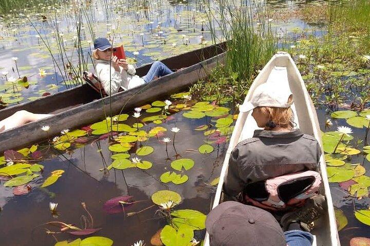 Mokoro Full Day Trip In The Okavango Delta