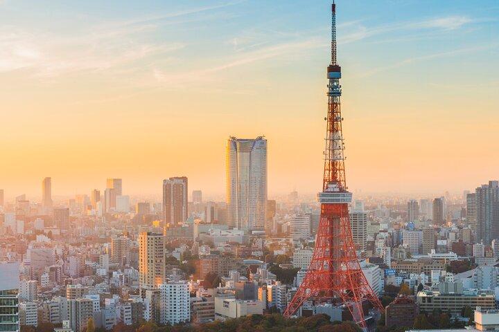 Tokyo City Private Customizable Tour with Highlights