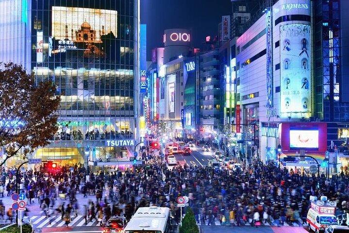 Tokyo City Private Customizable Tour with Highlights