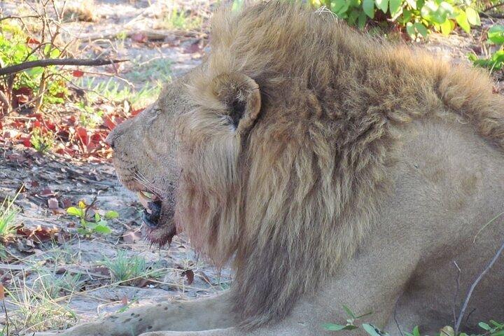 Steenbok Trail Safari 7 Nights 8 Days