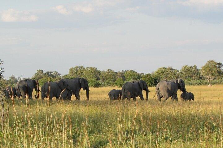 Steenbok Trail Safari 7 Nights 8 Days