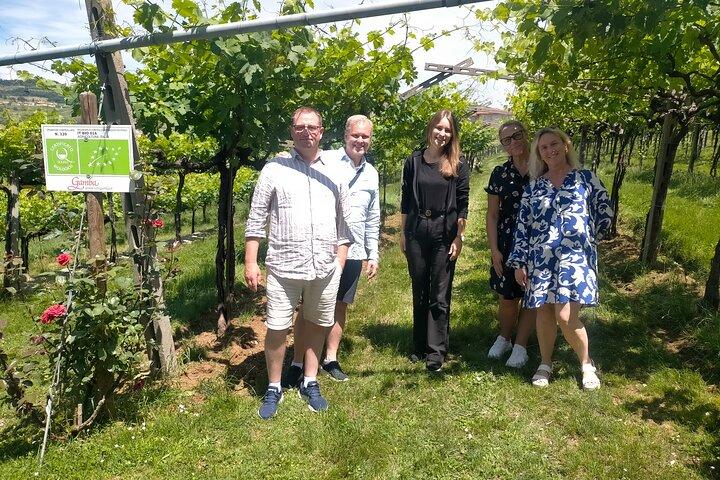 Amarone & Soave Wine Tour - Visit Verona, from Venice, Treviso