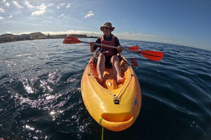 Kayaking in Palm Mar with Dolphin and Turtle Watching
