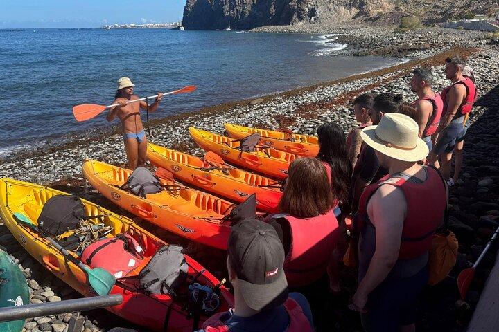 Kayaking in Palm Mar with Dolphin and Turtle Watching