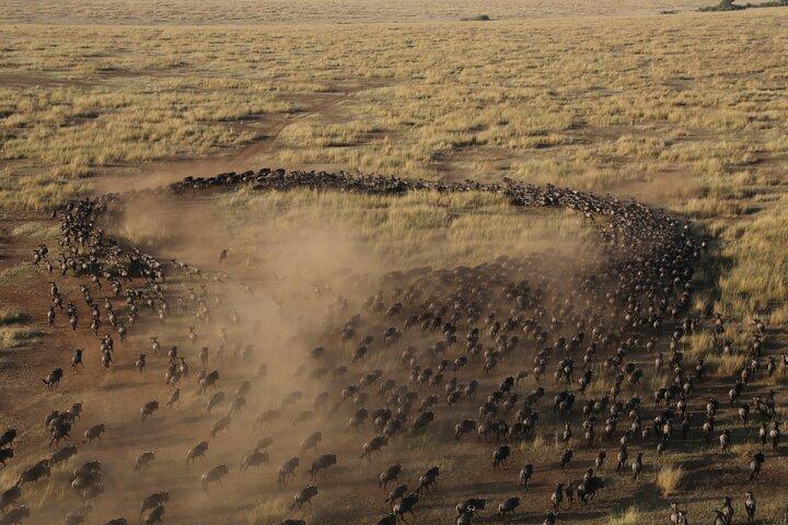 9-Day Private Luxury Wildebeest Migration Safari Tanzania