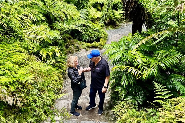 Auckland Half Day City Tour - Heart of Auckland