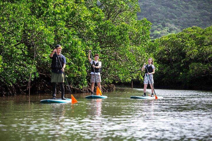 Ishigaki Mangrove Canoe or SUP & Taketomi Island Exploration