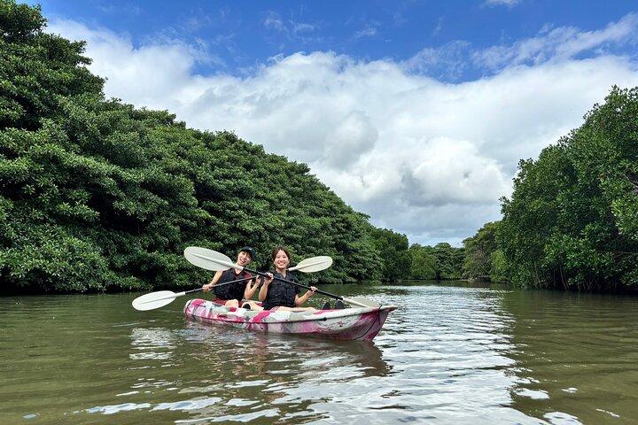 Ishigaki Mangrove Canoe or SUP & Taketomi Island Exploration