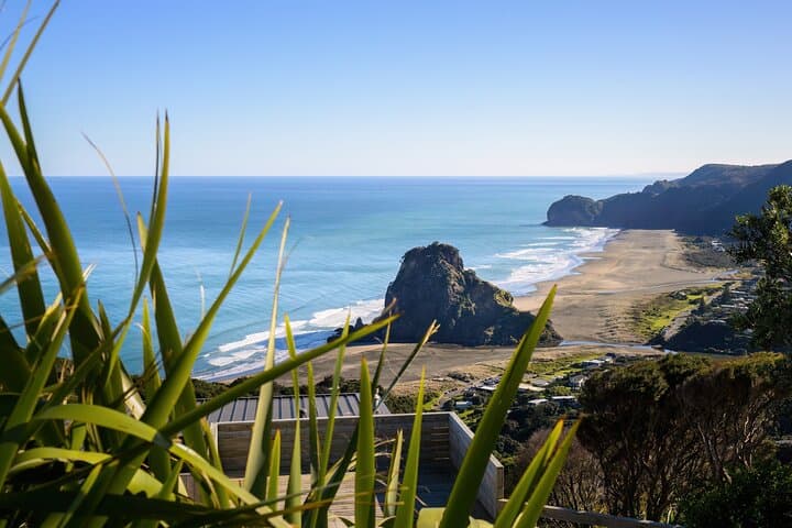 Private Shore Tour: Auckland Wild West Coast Piha & Muriwai