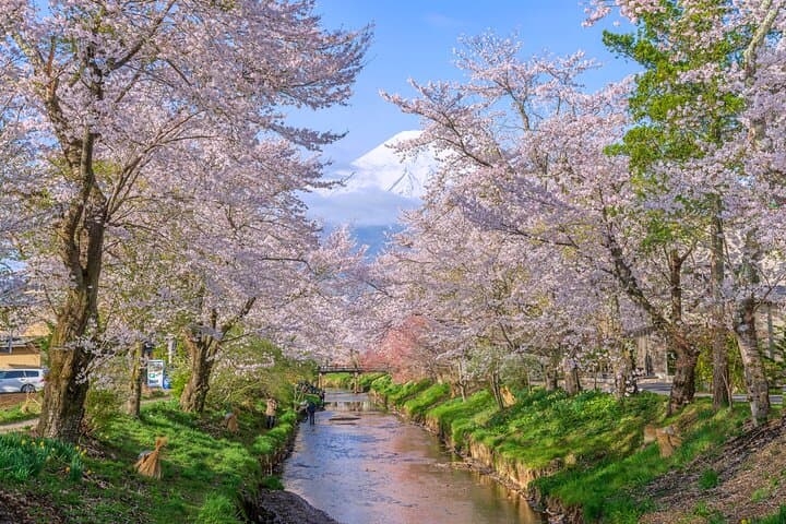 Mount Fuji Full Day Sightseeing Tour from Tokyo