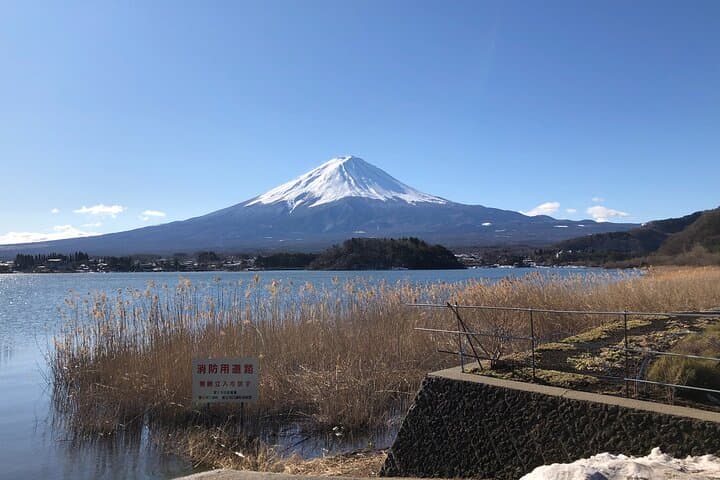 Mount Fuji Full Day Sightseeing Tour from Tokyo