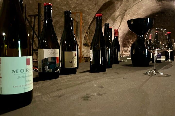 From Lyon: Private wine tour of Beaujolais all inclusive