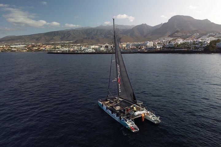 Whale Watching and Listening Eco Catamaran Tour with Food Tasting