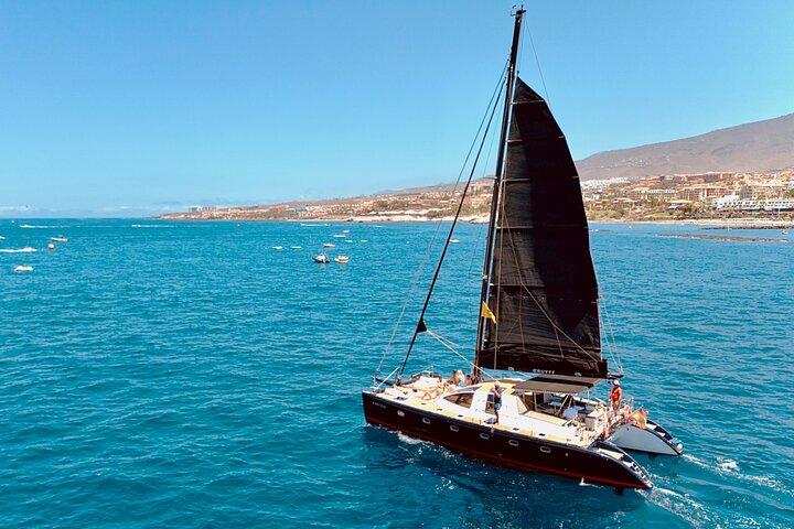 Tenerife Whale Watching Only Adults Exclusive Chill Out Catamaran