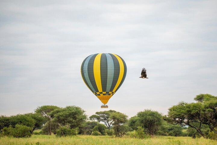 4-Day Tarangire, Serengeti, Ngorongoro Group Camping Safari