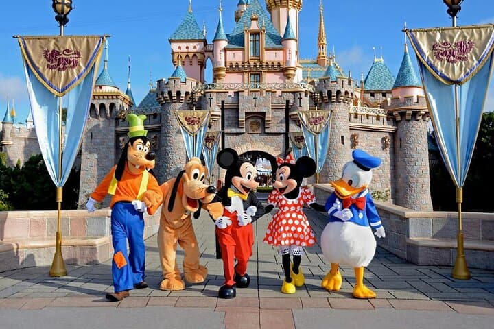 One Way Private Transfer from Disneyland Paris to Paris