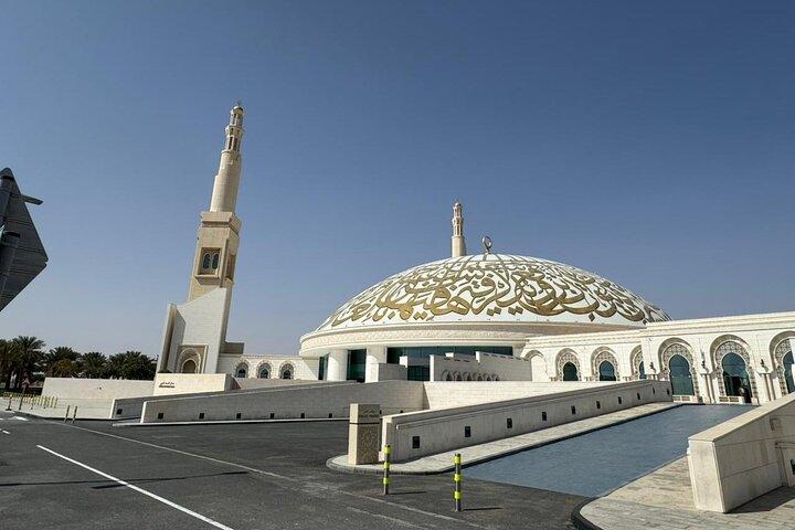 Al Ain City Tour: Camel Market, Oasis & Forts