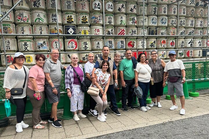 Shuttle Van 4hr Tokyo Tour to-and-from Tokyo, Yokohama and Narita