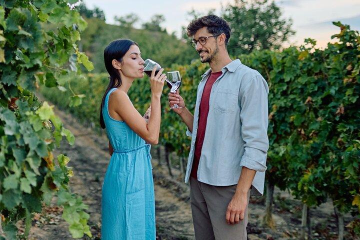 Kelowna Wine Tour by E-Bike with Tastings, Lunch & Okanagan Views