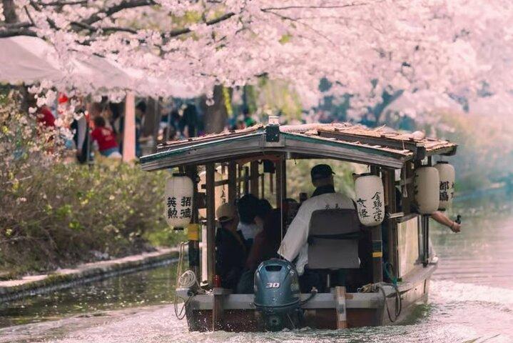 Kyoto Sakura Boat & Seasonal Car Tour