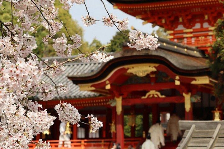 Kyoto Sakura Boat & Seasonal Car Tour
