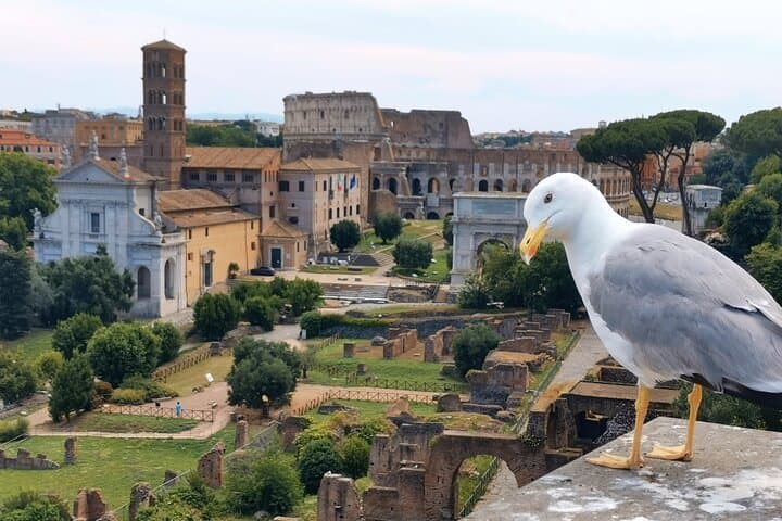 Private Rome Highlights and Roman Forum Tour