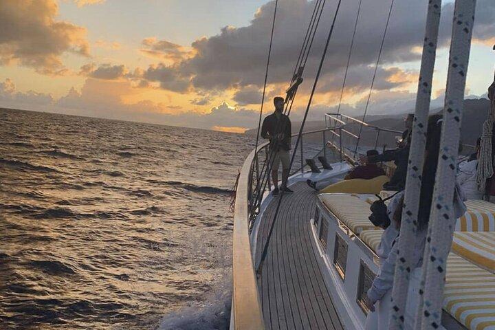 Funchal Sunset Tour Swimming Stop Dolphin and Whale Watching