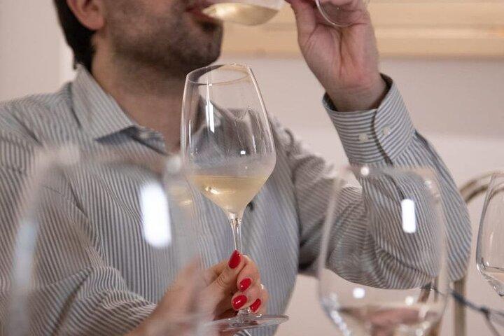 Wine tasting tour in the historic center of Siena