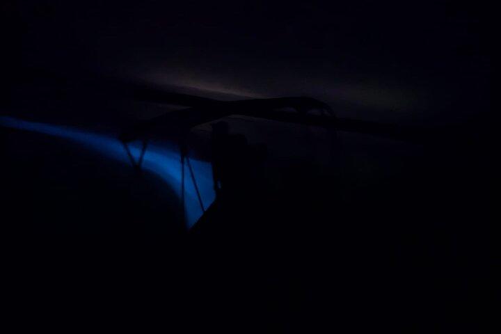 Bioluminescence Night Tour in Hopkins, Belize