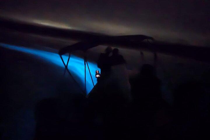 Bioluminescence Night Tour in Hopkins, Belize
