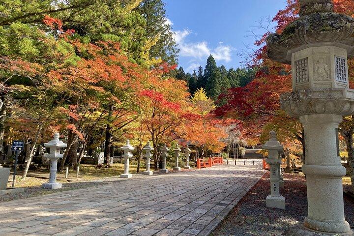 Mt Koya and Kishi Station 1 Day Bus Tour from Osaka