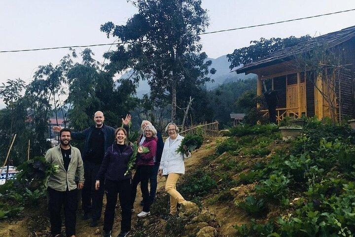 Authentic Sapa Trekking and Village Homestay Escape