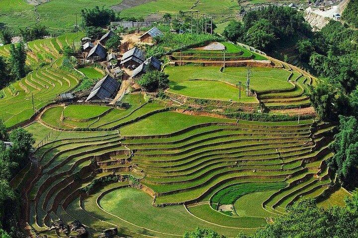 Authentic Sapa Trekking and Village Homestay Escape