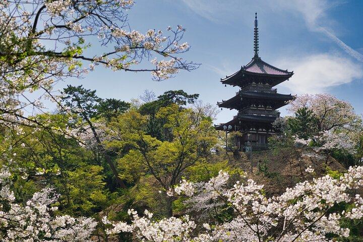 Yokohama: Understanding Sankeien Through Architecture &Space
