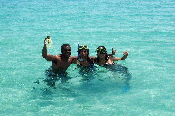 Shell Island Snorkel & Dolphin Tour from Panama City Beach