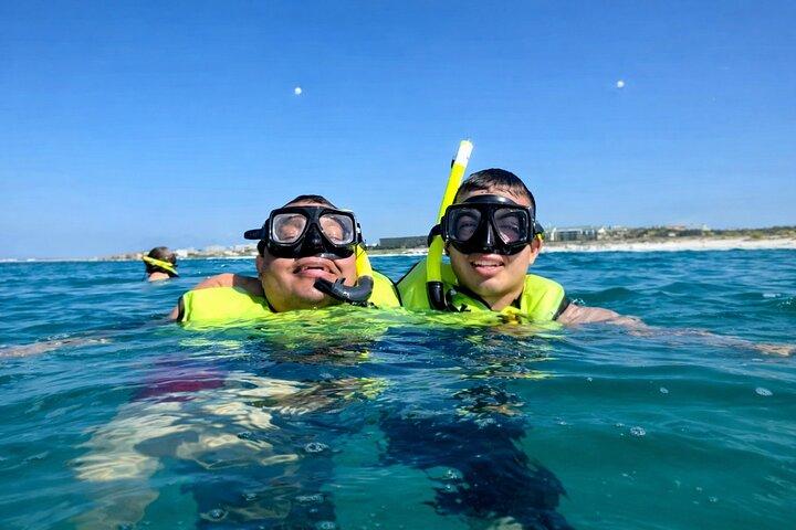 Shell Island Snorkel & Dolphin Tour from Panama City Beach