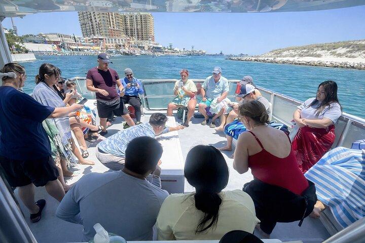 Shell Island Snorkel & Dolphin Tour from Panama City Beach