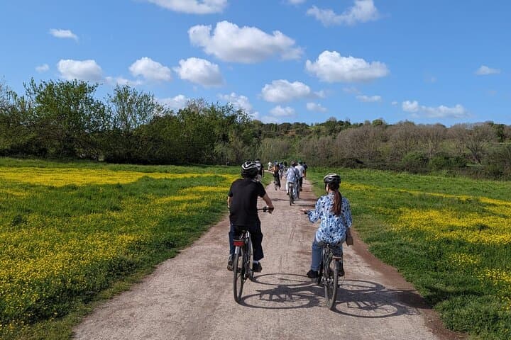 Appian Way Bike Rental Park Official Partner