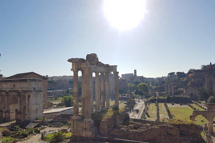 Colosseum Roman Forum and Palatine Hill Private Tour