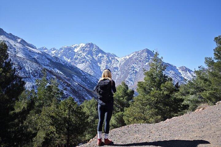 Marrakech: Atlas Mountains Talamrout Summit Day Trek 2700M