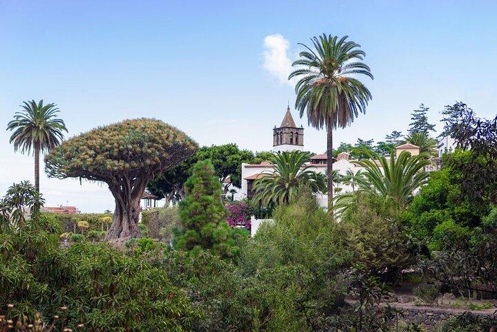 Tenerife Highlights Icod Garachico and Masca Valley