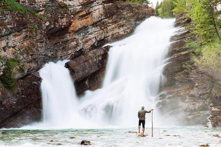Waterton National Park and Bison Safari Tour