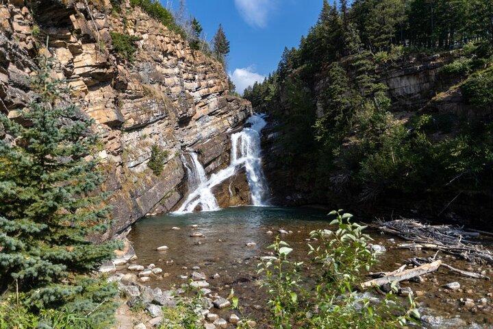 Waterton National Park and Bison Safari Tour