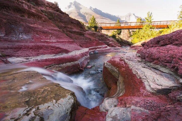 Waterton National Park and Bison Safari Tour