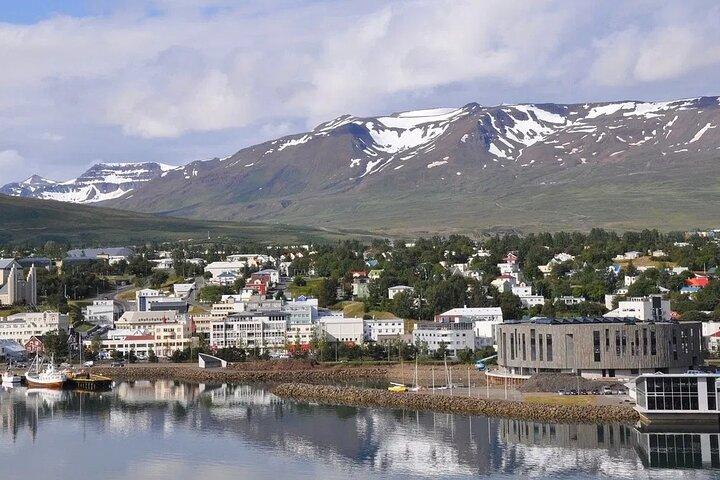 Akureyri Port: Small Group Godafoss and Laufas Turf House Tour