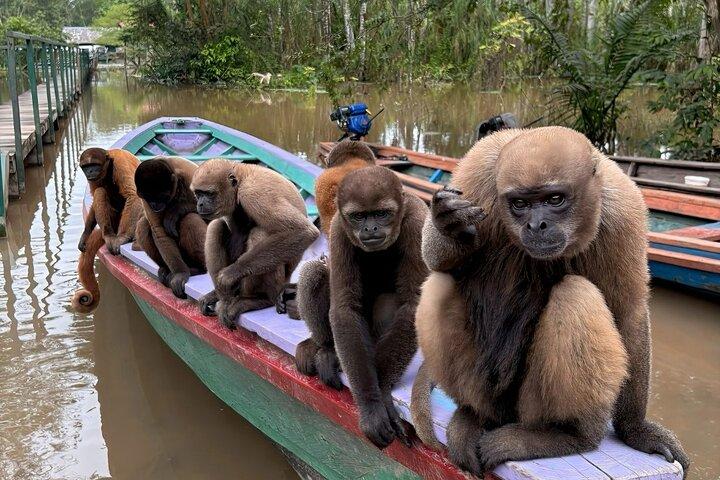 Monkey Island,Amazon River & Native Aquatic Species - All tickets