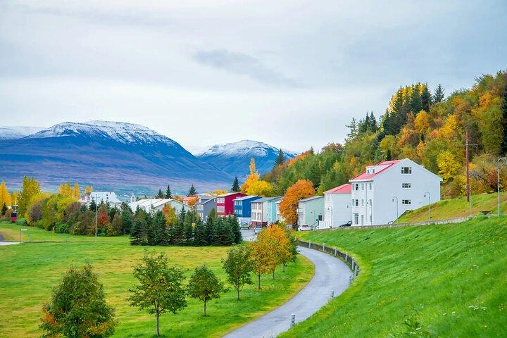 Akureyri Port: Small Group Godafoss and Laufas Turf House Tour